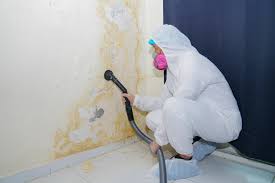 Mold Odor Removal Services in Groesbeck, OH